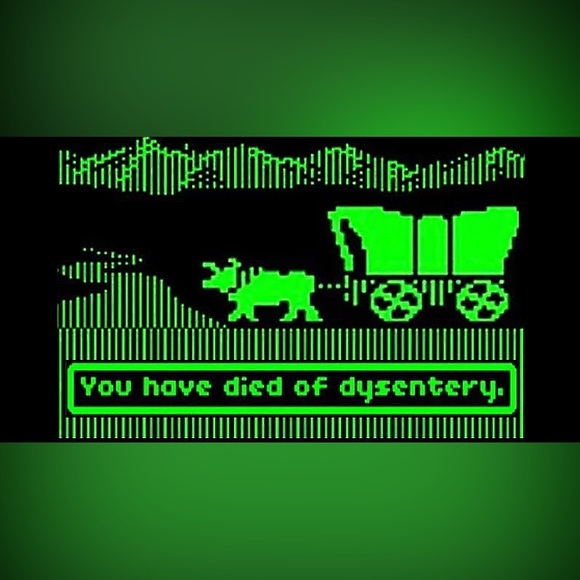 🐂“Died of Dysentery” Vintage OG Oregon Trail Enamel Pin - Picture 8 of 8